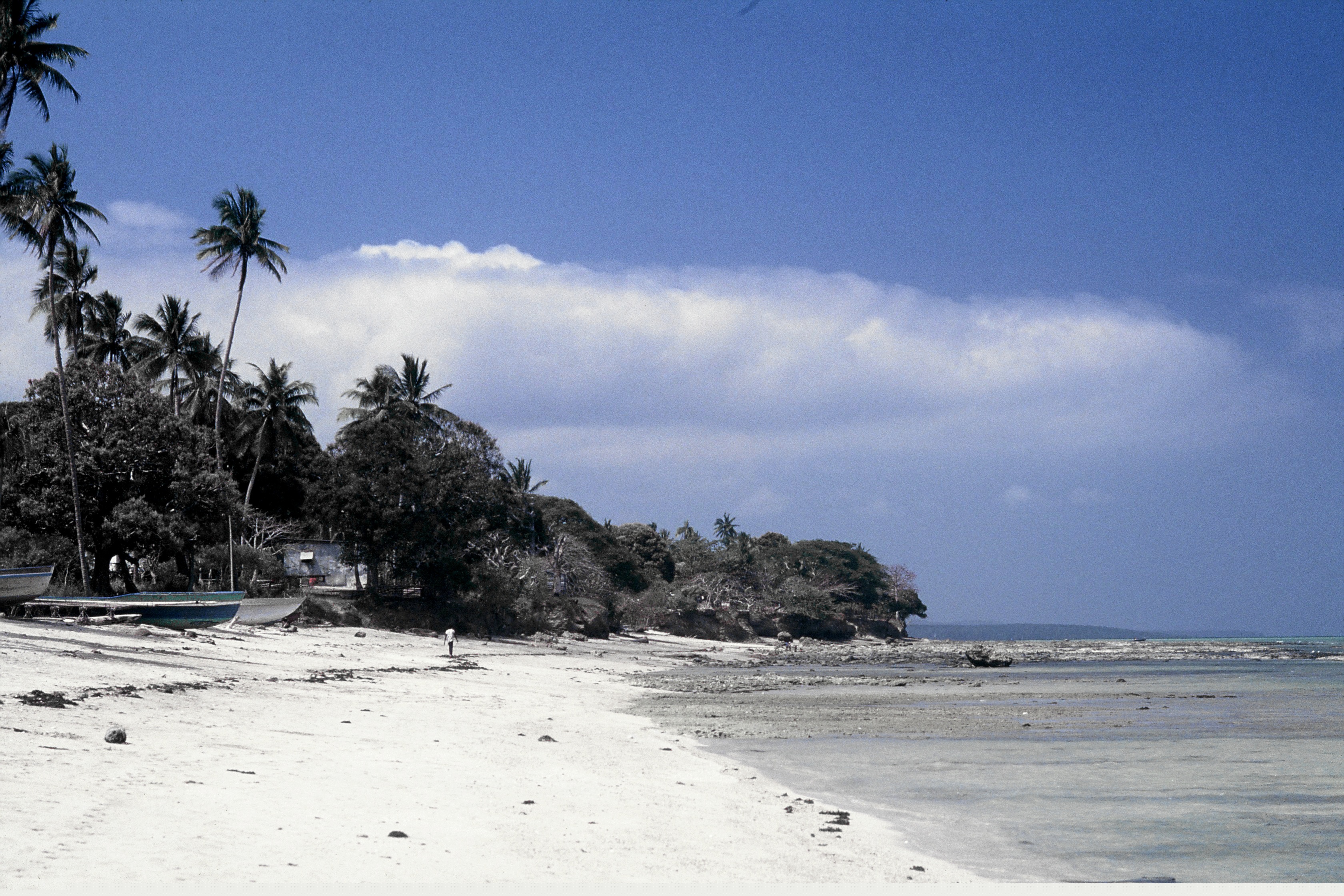 Yule Island Beach Edit T